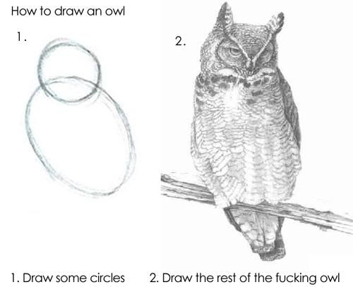How to draw an owl: 1. draw some circles 2. draw the rest of the fucking owl